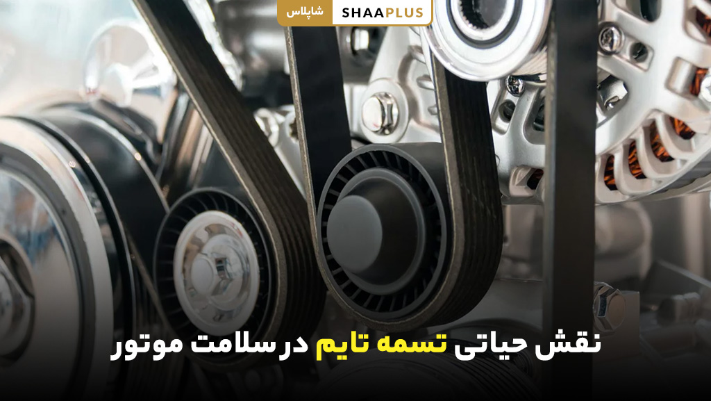نقش تسمه تایم در سلامت