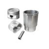 بوش پیستون با گژنپین پژو 405 XU7 (کاپلان)