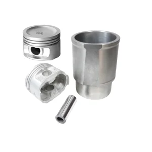 بوش پیستون با گژنپین پژو 405 XU7 (کاپلان)